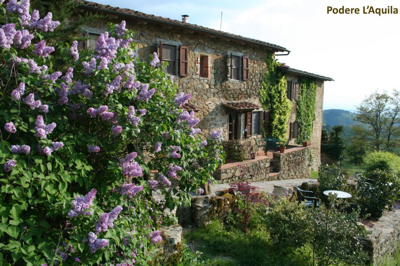 Podere L'Aquila Джайоле ин Кианти Екстериор снимка