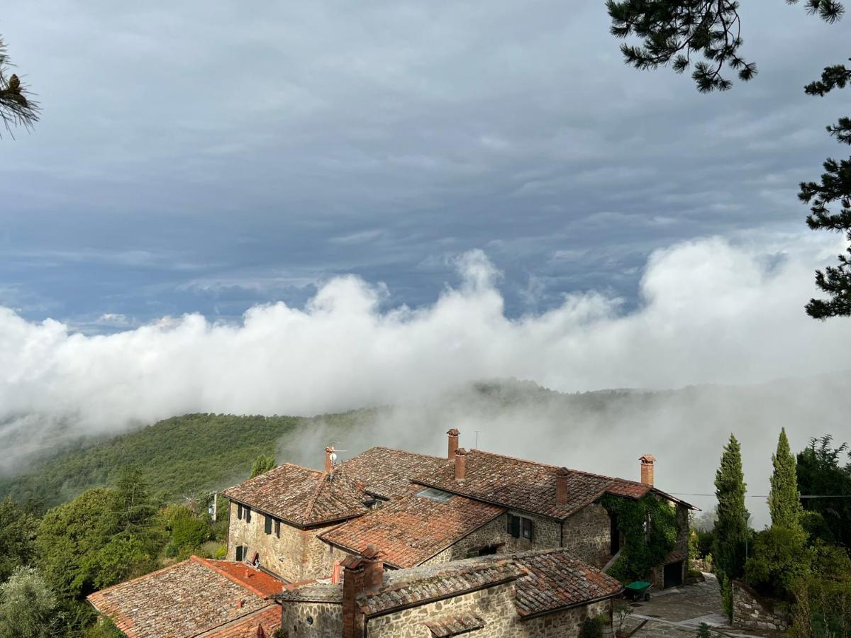 Podere L'Aquila Джайоле ин Кианти Екстериор снимка